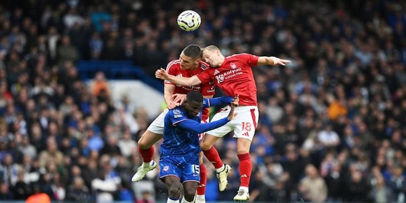 Nottingham Forest vs Chelsea Nottingham Forest vs Chelsea những lưu ý