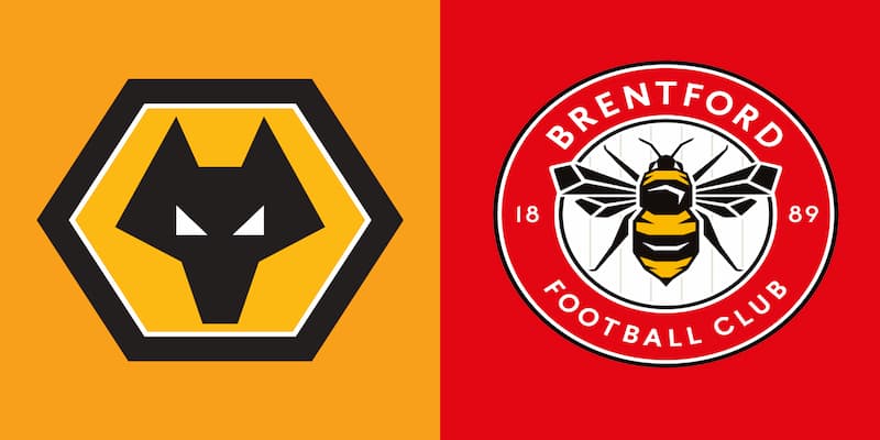 Wolves vs Brentford Wolves vs Brentford khám phá thế trận